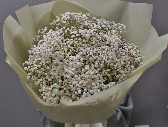 Bouquet of white gypsophila photo
